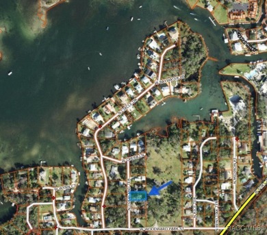 Rare Deeded Access to Kings Bay, Crystal River: Short Term on Plantation Inn and Golf Resort  in Florida - for sale on GolfHomes.com, golf home, golf lot