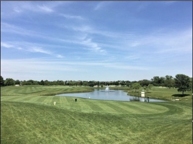 Buyers will love this *Scottsdale Model* Townhome with a Sunroom on Carillon Lakes 3 Hole Course in Illinois - for sale on GolfHomes.com, golf home, golf lot