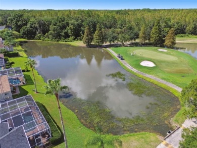 Under contract-accepting backup offers. Exquisite pool home on on Lexington Oaks Golf Club in Florida - for sale on GolfHomes.com, golf home, golf lot