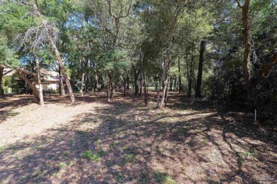 Beautiful golf course lot located on a desirable destination on The Club At Hidden Creek in Florida - for sale on GolfHomes.com, golf home, golf lot