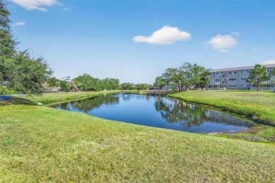 Step into this light-filled 2-bedroom, 2-bath condo on the West on On Top Of The World Golf Course in Florida - for sale on GolfHomes.com, golf home, golf lot