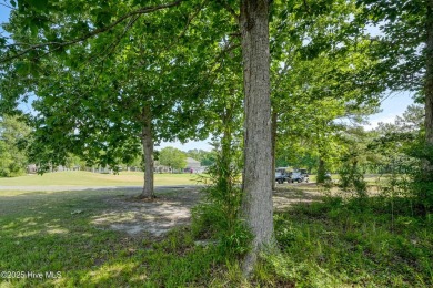 Welcome to the desirable Moultrie section of Brunswick on Brunswick Plantation and Golf Resorts in North Carolina - for sale on GolfHomes.com, golf home, golf lot