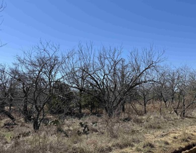 Great Opportunity, Plenty of Room to Build Your Dream Home near on Packsaddle Country Club in Texas - for sale on GolfHomes.com, golf home, golf lot