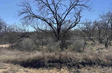 Great Opportunity, Plenty of Room to Build Your Dream Home near on Packsaddle Country Club in Texas - for sale on GolfHomes.com, golf home, golf lot