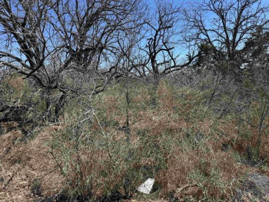 Great Opportunity, Plenty of Room to Build Your Dream Home near on Packsaddle Country Club in Texas - for sale on GolfHomes.com, golf home, golf lot