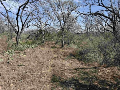 5 Lots, Great Opportunity, Plenty of Room to Build Your Dream on Packsaddle Country Club in Texas - for sale on GolfHomes.com, golf home, golf lot