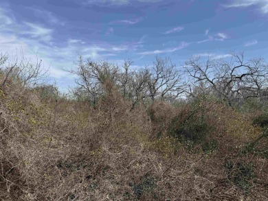 2 Lots, Great Opportunity, Plenty of Room to Build Your Dream on Packsaddle Country Club in Texas - for sale on GolfHomes.com, golf home, golf lot