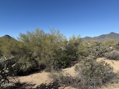 Elevated homesite in Desert Mountain's Village of Mountain on Desert Mountain Golf Club - Renegade Course in Arizona - for sale on GolfHomes.com, golf home, golf lot