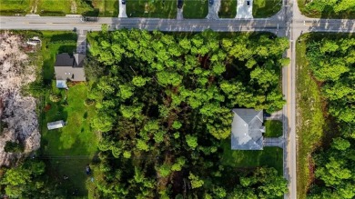 Build your dream on this oversized half-acre lot in the growing on Lehigh Resort Club in Florida - for sale on GolfHomes.com, golf home, golf lot