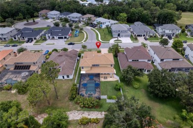 One or more photo(s) has been virtually staged. The Eagles! on Silver Dollar Golf and Trap Club in Florida - for sale on GolfHomes.com, golf home, golf lot