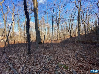 Own a parcel that is like no other especially if you love nature on Devils Knob in Virginia - for sale on GolfHomes.com, golf home, golf lot