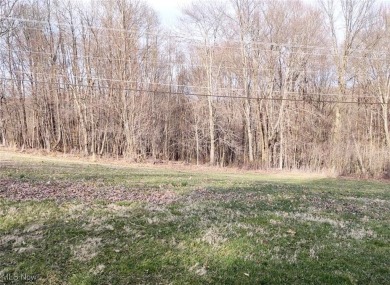 LOT #173. A great opportunity at Lake Mohawk, this .43 acre lot on Lake Mohawk Golf Club in Ohio - for sale on GolfHomes.com, golf home, golf lot