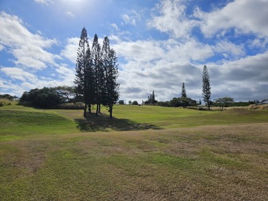 This is an excellent property that backs up to Hole 6 of the on Discovery Harbour Golf Course in Hawaii - for sale on GolfHomes.com, golf home, golf lot