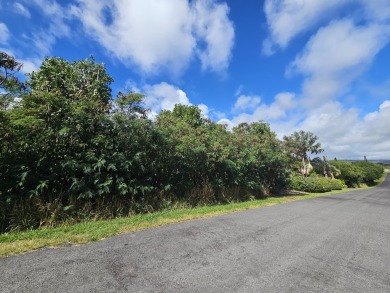 This is an excellent property that backs up to Hole 6 of the on Discovery Harbour Golf Course in Hawaii - for sale on GolfHomes.com, golf home, golf lot