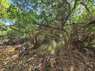 This is an excellent property that backs up to Hole 6 of the on Discovery Harbour Golf Course in Hawaii - for sale on GolfHomes.com, golf home, golf lot