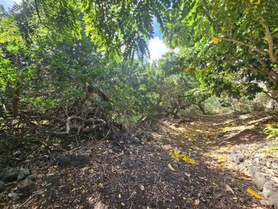 This is an excellent property that backs up to Hole 6 of the on Discovery Harbour Golf Course in Hawaii - for sale on GolfHomes.com, golf home, golf lot