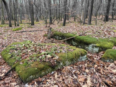 Discover the perfect setting for your dream home with these two on Alpine Lake Resort in West Virginia - for sale on GolfHomes.com, golf home, golf lot