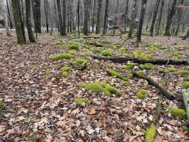 Discover the perfect setting for your dream home with these two on Alpine Lake Resort in West Virginia - for sale on GolfHomes.com, golf home, golf lot