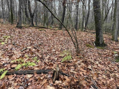 Discover the perfect setting for your dream home with these two on Alpine Lake Resort in West Virginia - for sale on GolfHomes.com, golf home, golf lot