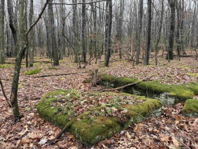 Discover the perfect setting for your dream home with these two on Alpine Lake Resort in West Virginia - for sale on GolfHomes.com, golf home, golf lot