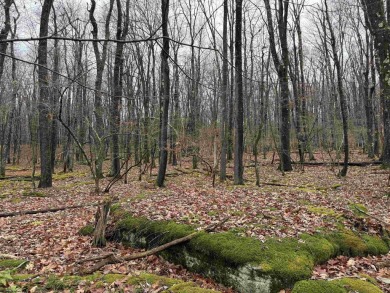 Discover the perfect setting for your dream home with these two on Alpine Lake Resort in West Virginia - for sale on GolfHomes.com, golf home, golf lot