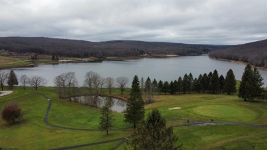 Discover the perfect setting for your dream home with these two on Alpine Lake Resort in West Virginia - for sale on GolfHomes.com, golf home, golf lot