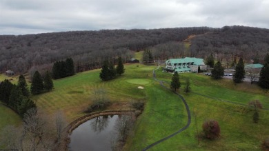 Discover the perfect setting for your dream home with these two on Alpine Lake Resort in West Virginia - for sale on GolfHomes.com, golf home, golf lot