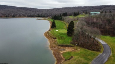 Discover the perfect setting for your dream home with these two on Alpine Lake Resort in West Virginia - for sale on GolfHomes.com, golf home, golf lot