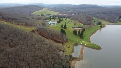 Discover the perfect setting for your dream home with these two on Alpine Lake Resort in West Virginia - for sale on GolfHomes.com, golf home, golf lot