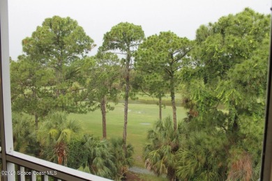 Luxurious move-in ready condo with direct golf views. Enjoy on Turtle Creek Golf Club in Florida - for sale on GolfHomes.com, golf home, golf lot