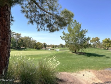 Here's an opportunity to live in the charming, gated golf course on Raven Golf Club At South Mountain in Arizona - for sale on GolfHomes.com, golf home, golf lot