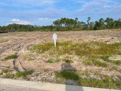 The Watersound Camp Creek community is a master planned on Camp Creek Golf Course in Florida - for sale on GolfHomes.com, golf home, golf lot