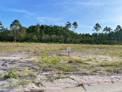 The Watersound Camp Creek community is a master planned on Camp Creek Golf Course in Florida - for sale on GolfHomes.com, golf home, golf lot