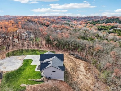 Who wants to be the lucky one to own this STUNNING Home?? on Raintree Country Club in Missouri - for sale on GolfHomes.com, golf home, golf lot