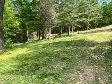 Almost an acre  in desirable area off Tellico Parkway. Close to on Tanasi Golf Course in Tennessee - for sale on GolfHomes.com, golf home, golf lot