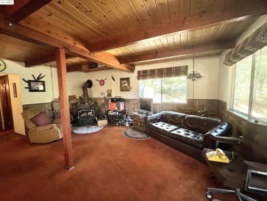 This cabin in the pines called 'Lil Oak Hill' is beautifully on Pine Mountain Lake Country Club in California - for sale on GolfHomes.com, golf home, golf lot