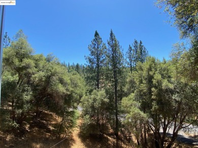 This cabin in the pines called 'Lil Oak Hill' is beautifully on Pine Mountain Lake Country Club in California - for sale on GolfHomes.com, golf home, golf lot