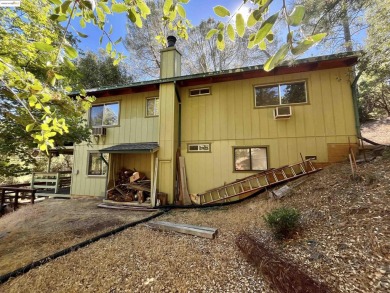 This cabin in the pines called 'Lil Oak Hill' is beautifully on Pine Mountain Lake Country Club in California - for sale on GolfHomes.com, golf home, golf lot