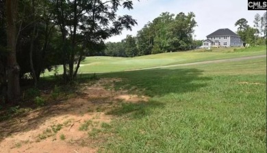 Build the home of your dreams in beautiful Bay Pointe! Lot on Timberlake Country Club in South Carolina - for sale on GolfHomes.com, golf home, golf lot