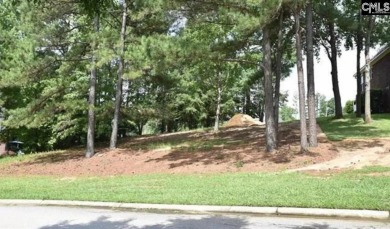 Build the home of your dreams in beautiful Bay Pointe! Lot on Timberlake Country Club in South Carolina - for sale on GolfHomes.com, golf home, golf lot