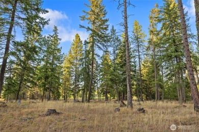 The sunny side of Tumble Creek! Open and bright lot, with just on Suncadia Resort in Washington - for sale on GolfHomes.com, golf home, golf lot