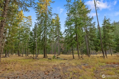 The sunny side of Tumble Creek! Open and bright lot, with just on Suncadia Resort in Washington - for sale on GolfHomes.com, golf home, golf lot