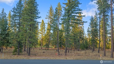 The sunny side of Tumble Creek! Open and bright lot, with just on Suncadia Resort in Washington - for sale on GolfHomes.com, golf home, golf lot