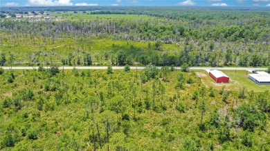 Discover the perfect canvas for your dream home at 4000 Gerona on Sun n Lake Golf and Country Club in Florida - for sale on GolfHomes.com, golf home, golf lot