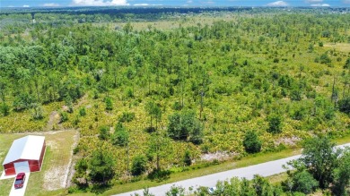 Discover the perfect canvas for your dream home at 4000 Gerona on Sun n Lake Golf and Country Club in Florida - for sale on GolfHomes.com, golf home, golf lot