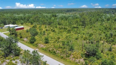 Discover the perfect canvas for your dream home at 4000 Gerona on Sun n Lake Golf and Country Club in Florida - for sale on GolfHomes.com, golf home, golf lot