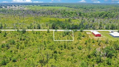 Discover the perfect canvas for your dream home at 4000 Gerona on Sun n Lake Golf and Country Club in Florida - for sale on GolfHomes.com, golf home, golf lot