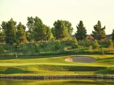 $$$ SO MUCH ADDED VALUE INCLUDED IN THIS CUSTOMIZED AND UPDATED on Frisco Lakes Golf Course in Texas - for sale on GolfHomes.com, golf home, golf lot