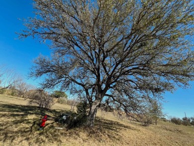 Looking for an affordable lot in a wonderful neighborhood to on Ram Rock Golf Course in Texas - for sale on GolfHomes.com, golf home, golf lot