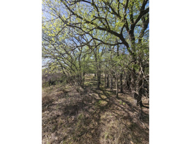 Wonderful hill country lot within minutes of Lake LBJ and on Packsaddle Country Club in Texas - for sale on GolfHomes.com, golf home, golf lot